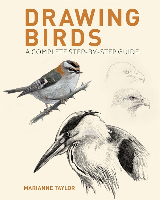 Cover image for Drawing Birds, isbn: 9781398826717
