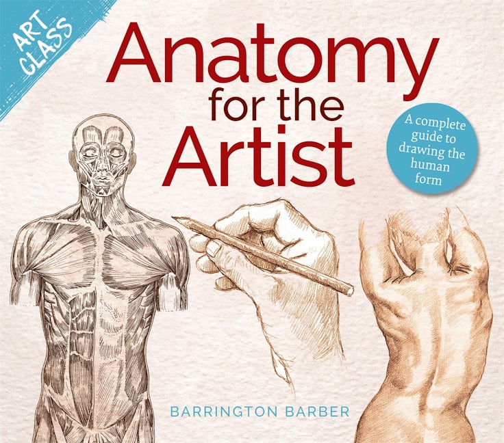 Cover image for Art Class: Anatomy for the Artist, isbn: 9781398840089