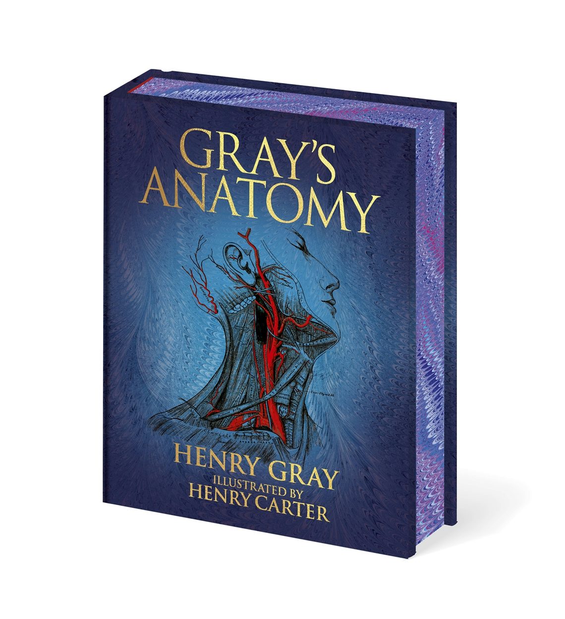 grey's anatomyページ Gray's Anatomy – Arcturus Publishing