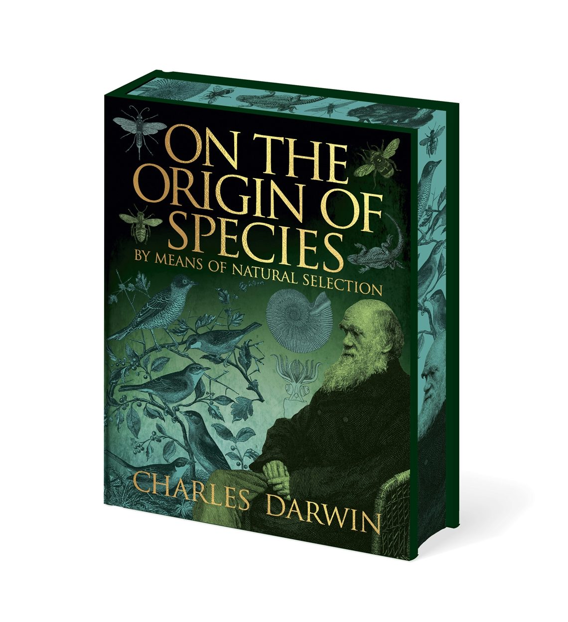 Cover image for On the Origin of Species, isbn: 9781398849204