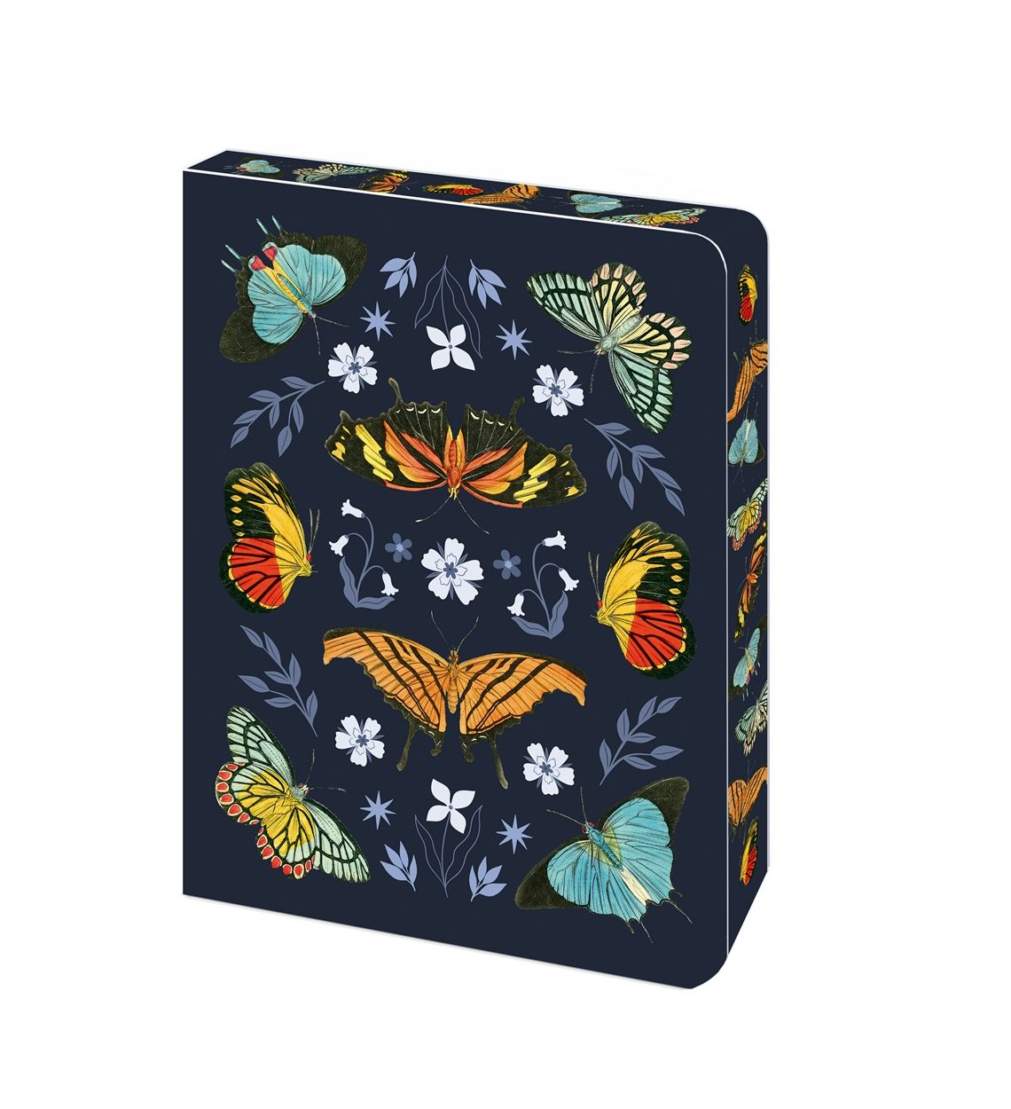 Cover image for The Beautiful Butterflies Notebook, isbn: 9781398853263