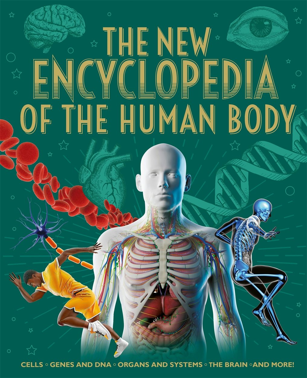Cover image for The New Encyclopedia of the Human Body, isbn: 9781398854314