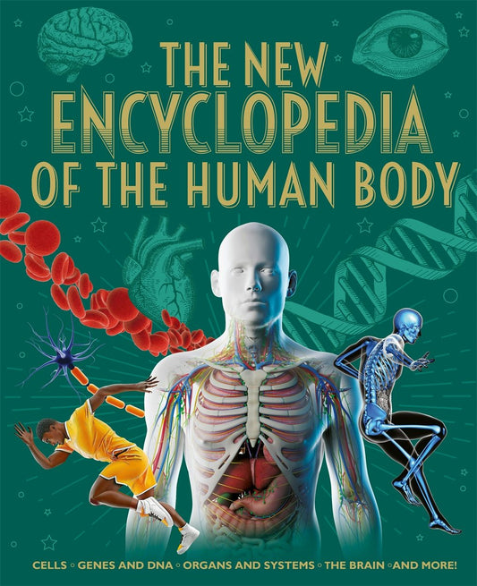Cover image for The New Encyclopedia of the Human Body, isbn: 9781398854314