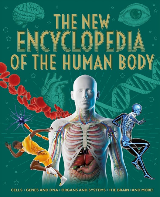 Cover image for The New Encyclopedia of the Human Body, isbn: 9781398854314