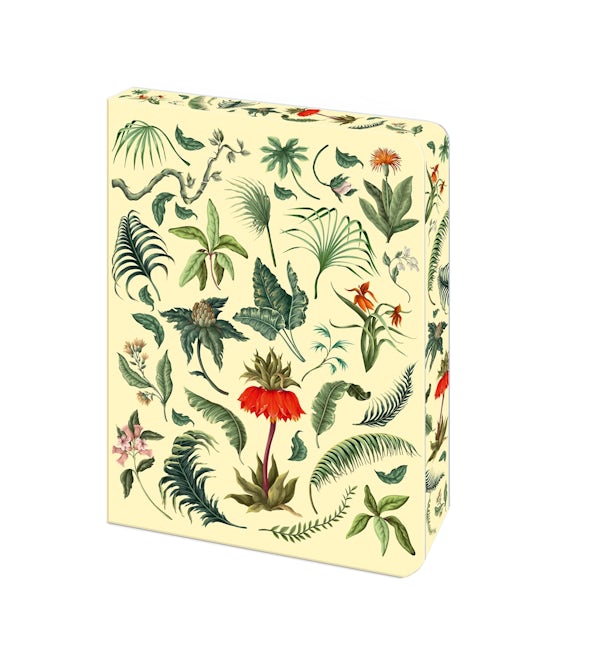 Cover image for The Fern Journal, isbn: 9781398862937