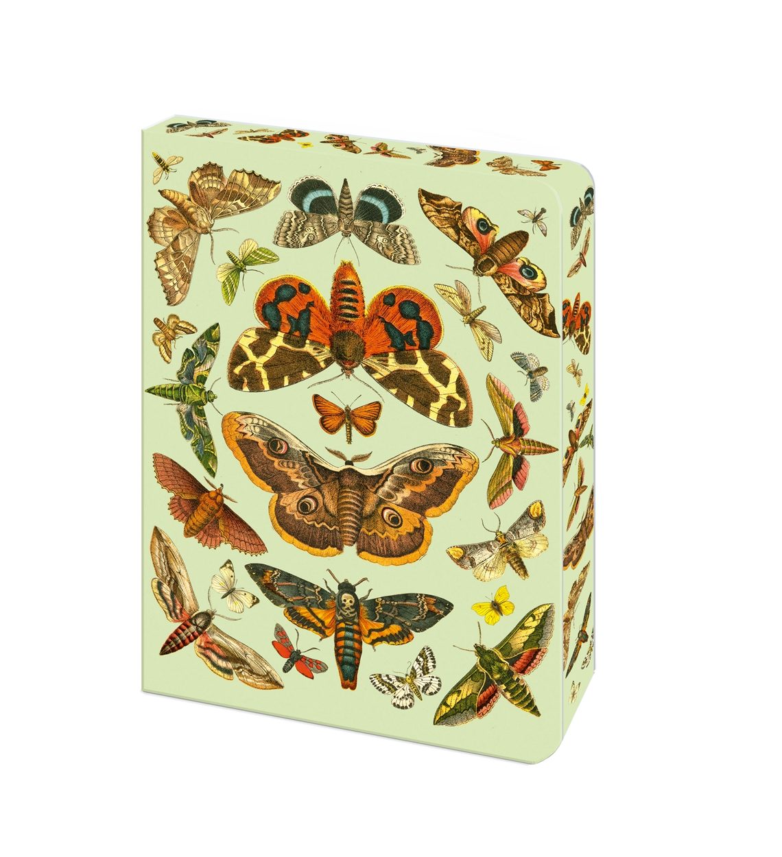 Cover image for The Moth Journal, isbn: 9781398862951