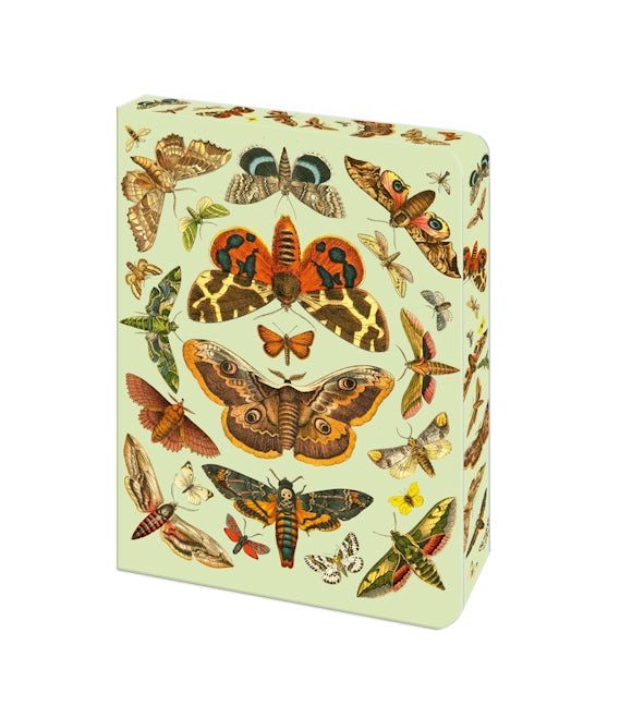 Cover image for The Moth Journal, isbn: 9781398862951
