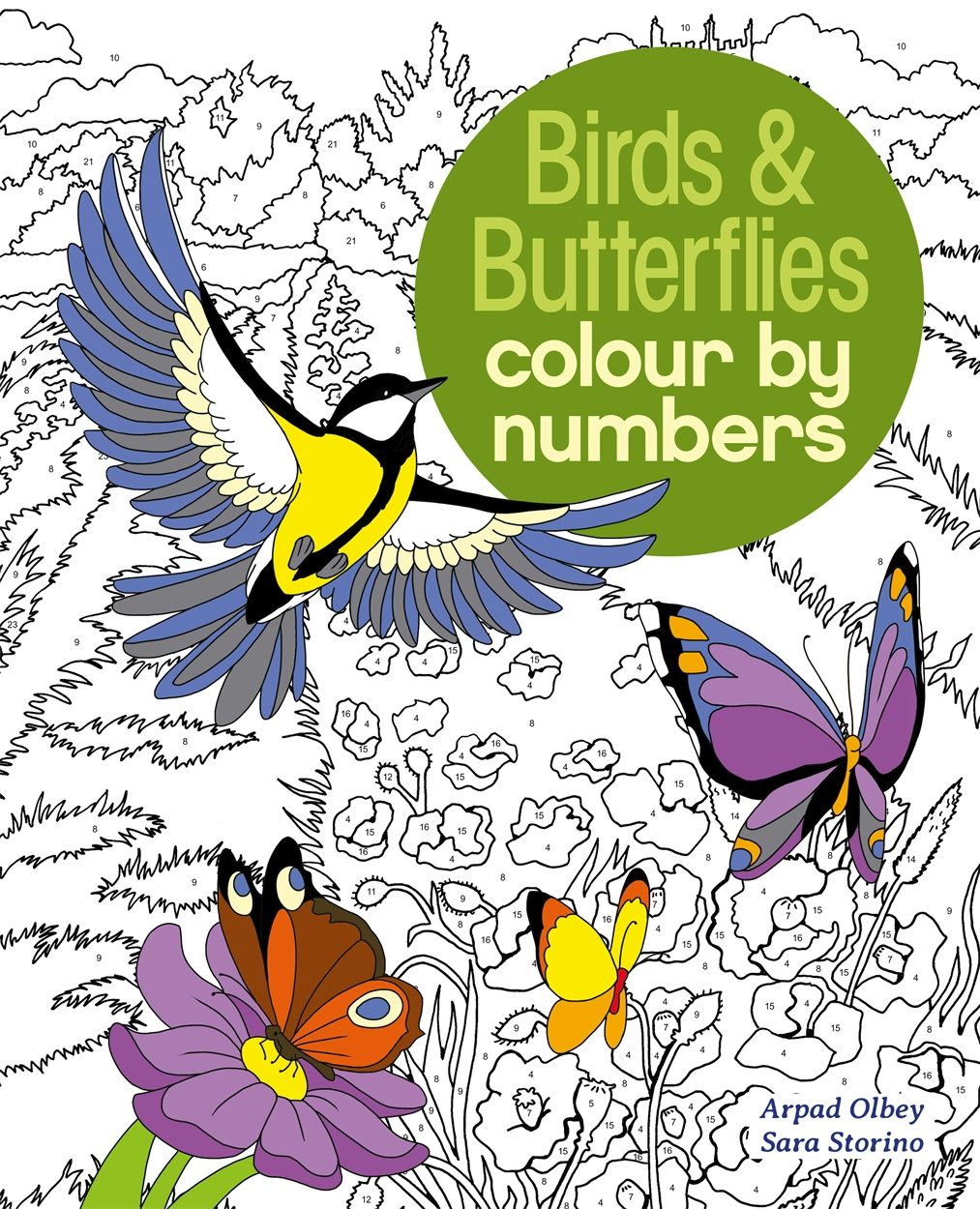 Cover image for Birds & Butterflies Colour by Numbers, isbn: 9781784286491