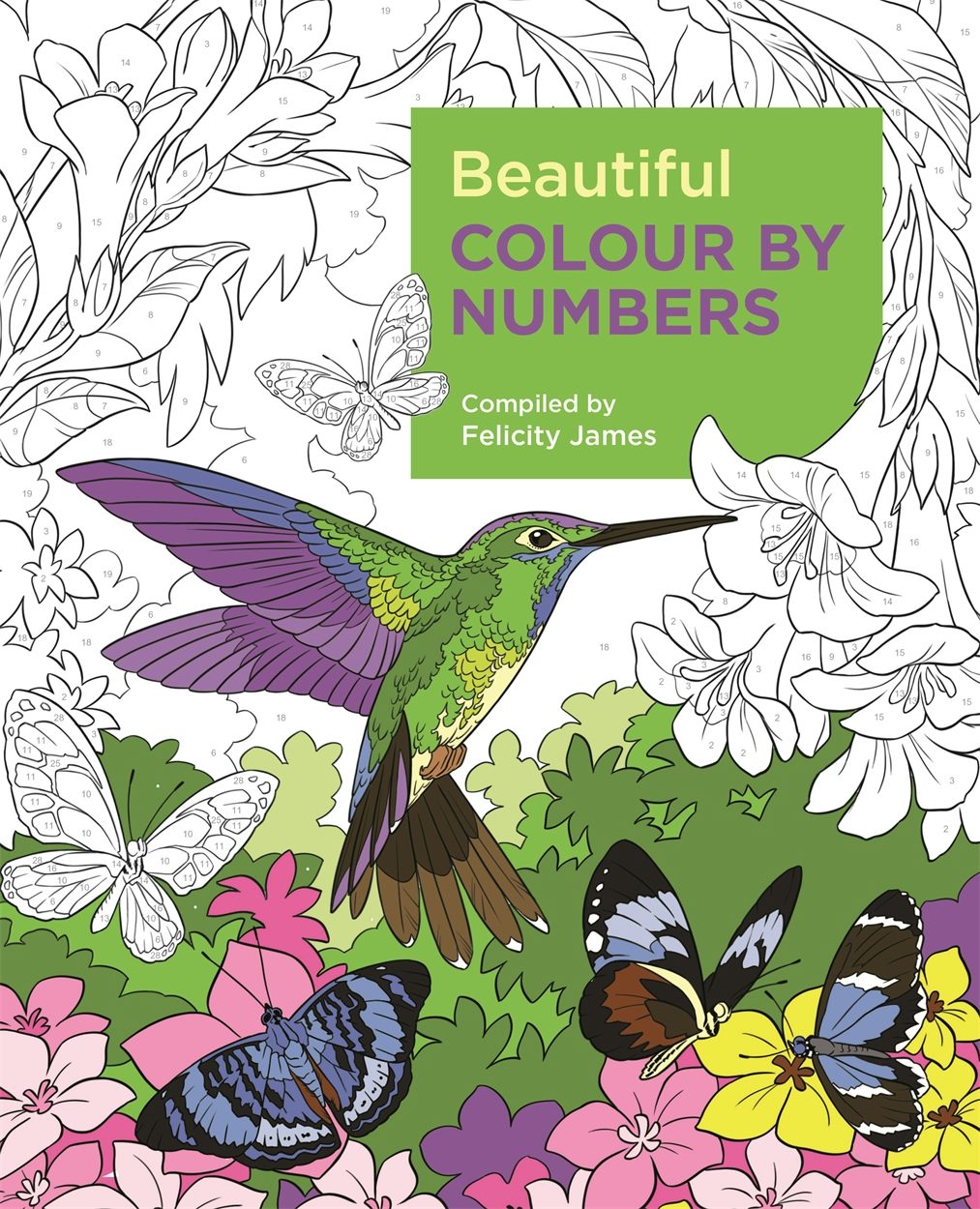 Cover image for Beautiful Colour by Numbers, isbn: 9781788887687