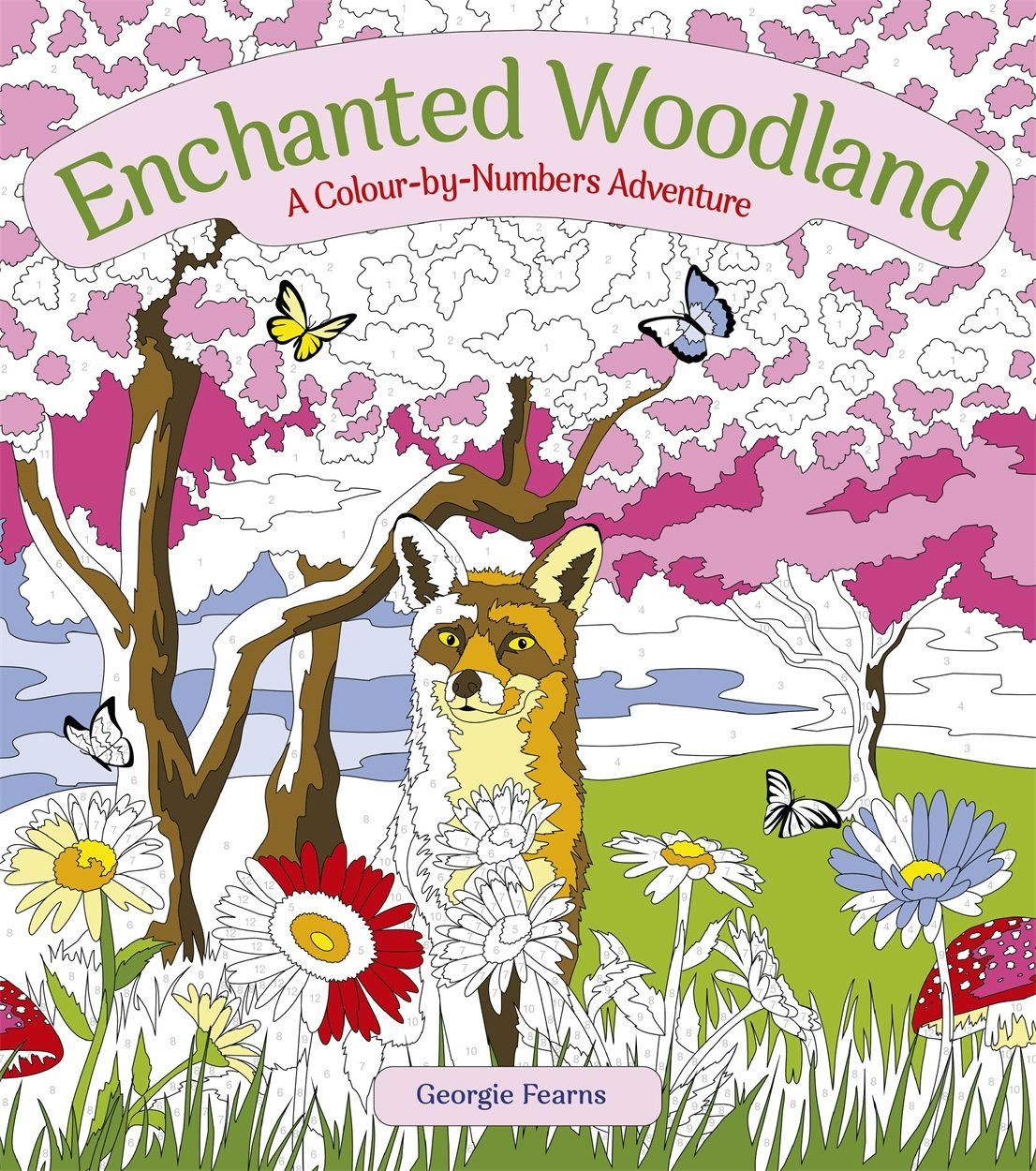 Cover image for Enchanted Woodland: A Colour-by-Numbers Adventure, isbn: 9781398813694