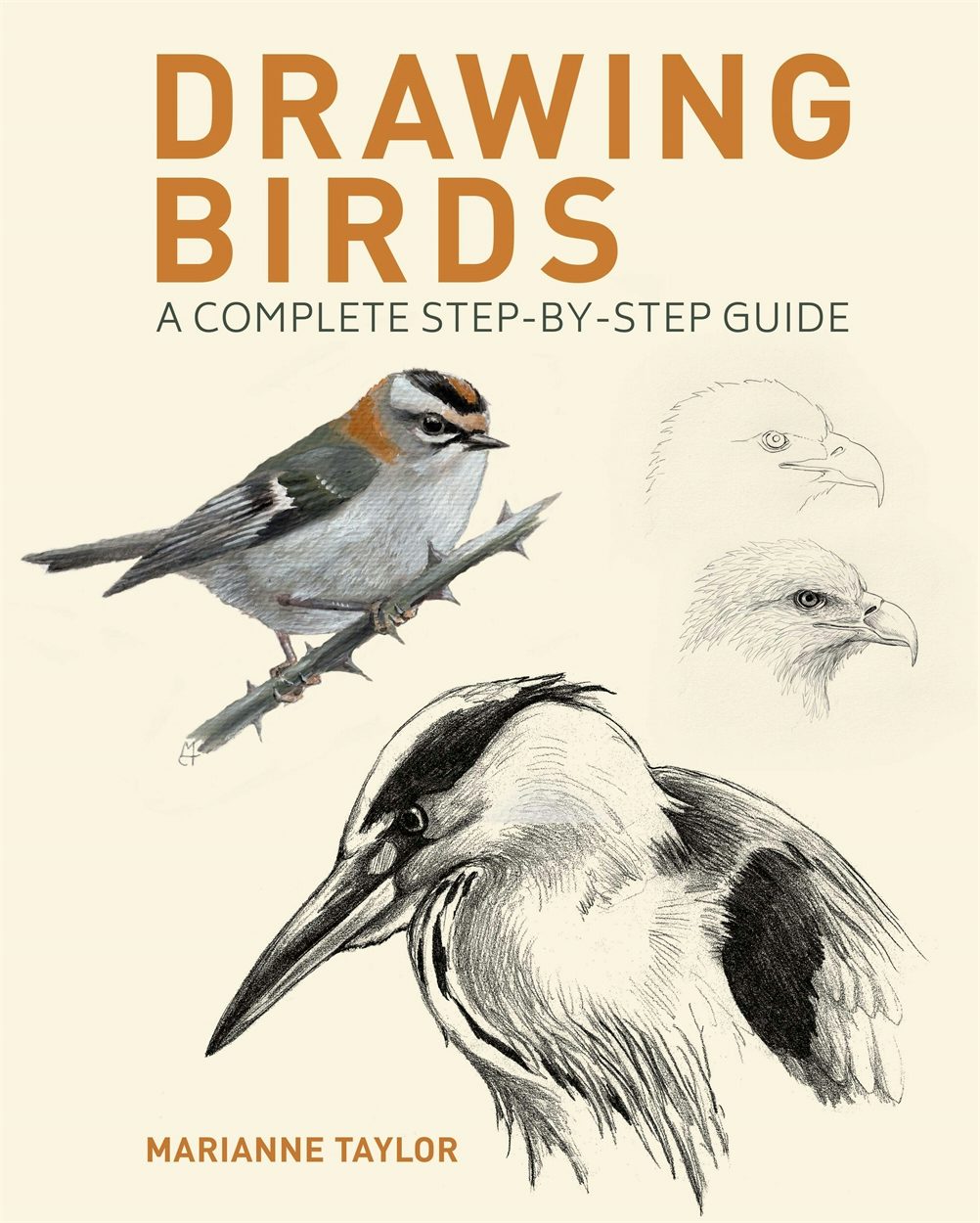 Cover image for Drawing Birds, isbn: 9781398826717