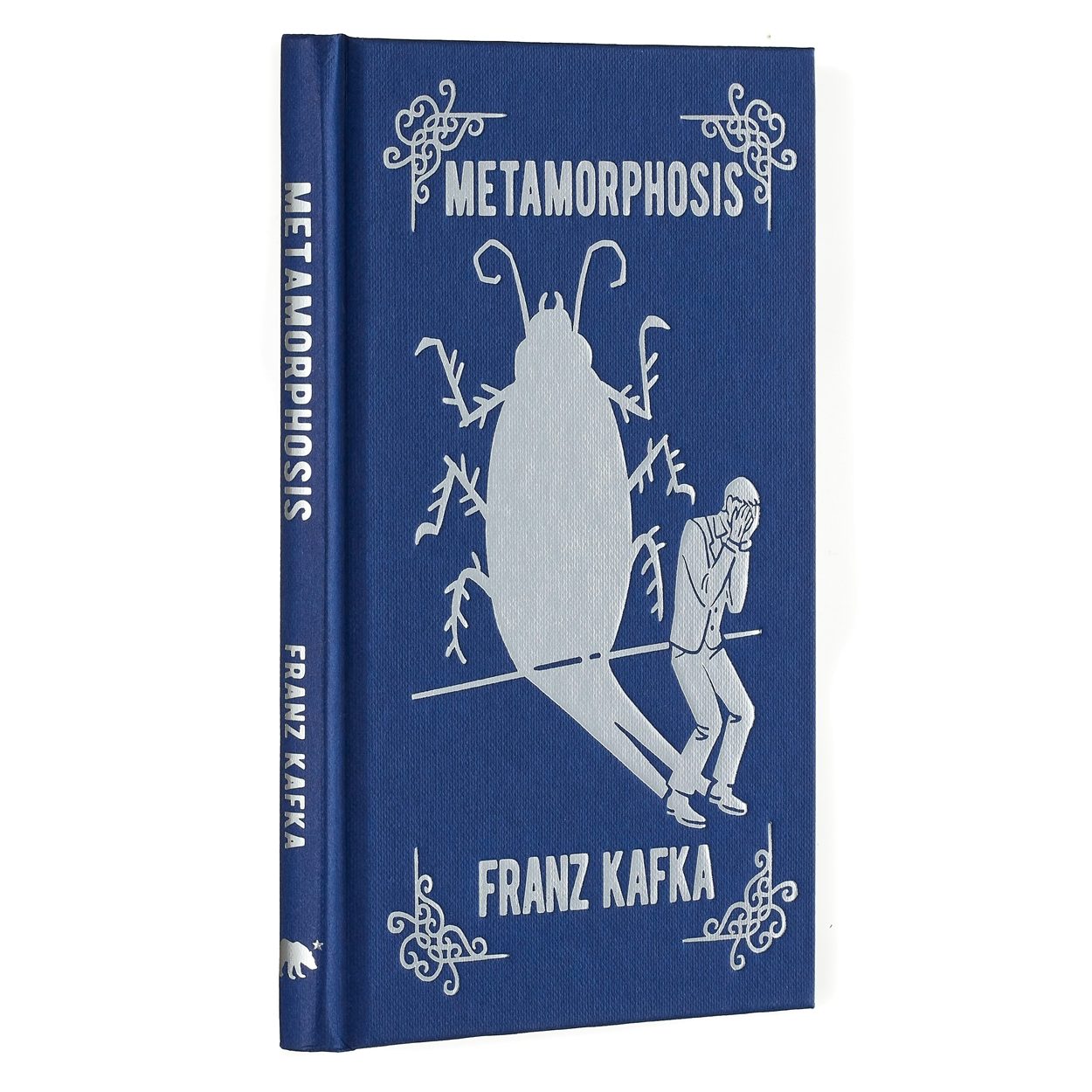 Cover image for Metamorphosis, isbn: 9781398829862