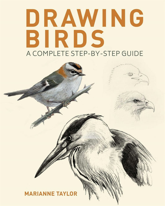 Cover image for Drawing Birds, isbn: 9781398832039