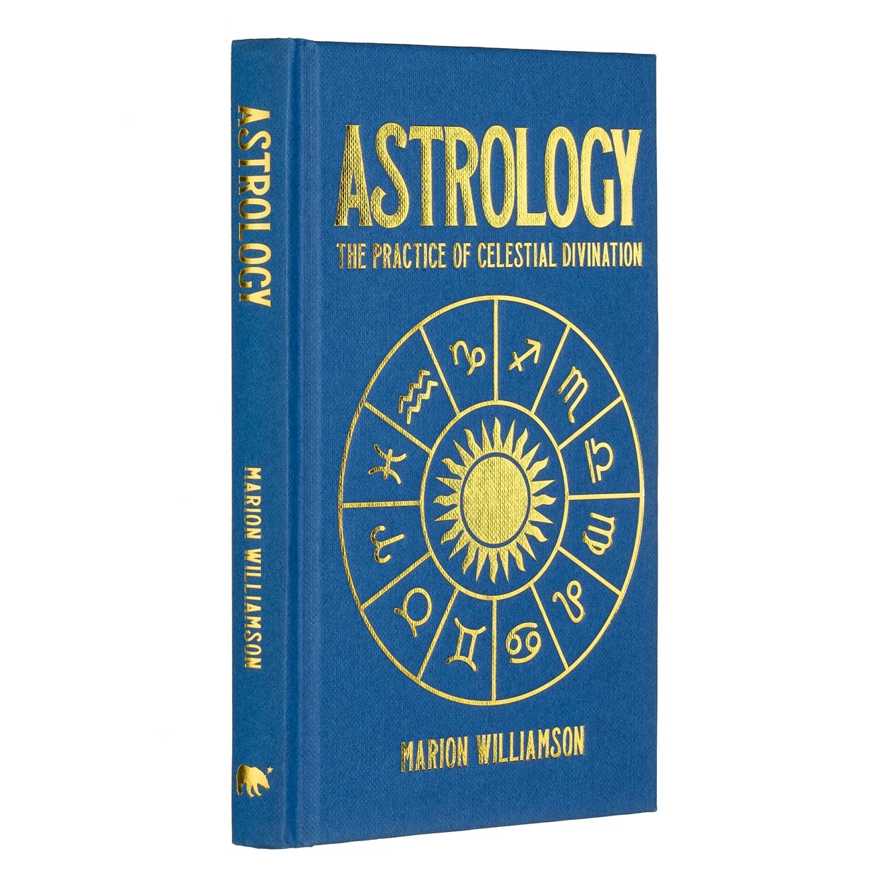 Cover image for Astrology, isbn: 9781398834330
