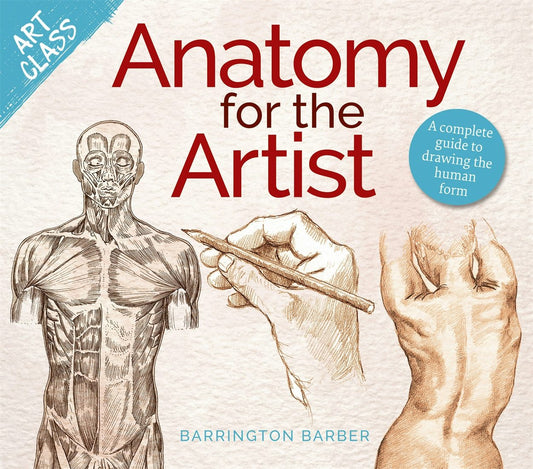 Cover image for Art Class: Anatomy for the Artist, isbn: 9781398840089