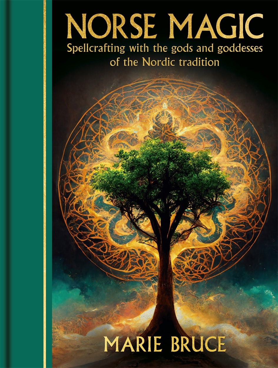 Cover image for Norse Magic, isbn: 9781398850712