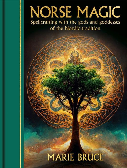 Cover image for Norse Magic, isbn: 9781398850712