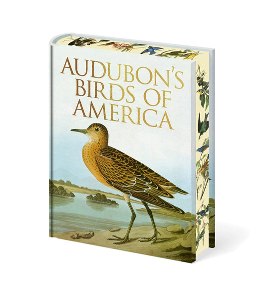 Cover image for Audubon's Birds of America, isbn: 9781398850866