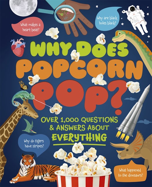 Cover image for Why Does Popcorn Pop?, isbn: 9781398855380