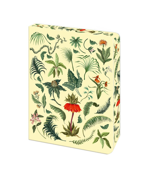 Cover image for The Fern Journal, isbn: 9781398862937