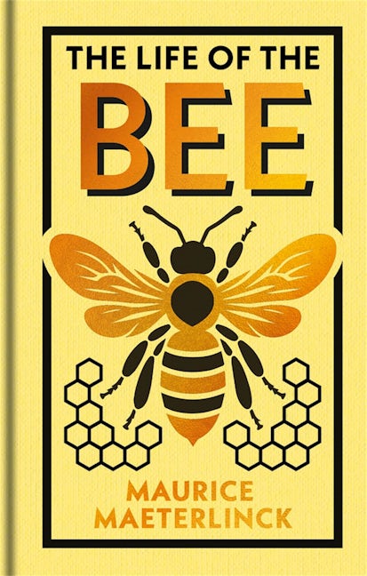 Cover image for The Life of the Bee, isbn: 9781398864788