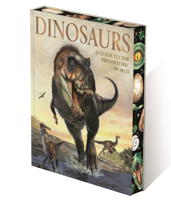 Cover image for Dinosaurs, isbn: 9781398868250