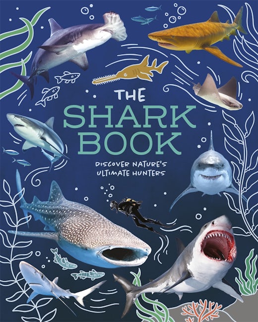 Cover image for The Shark Book, isbn: 9781398872042