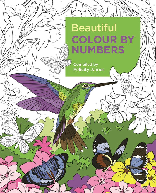 Cover image for Beautiful Colour by Numbers, isbn: 9781788887687